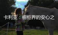 卡利亚：橱柜界的安心之选