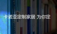 快排公司十年历程，霸屏兔 seo 的崛起与坚守