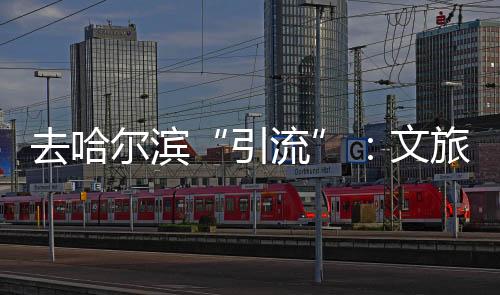 “从我们的体决角度