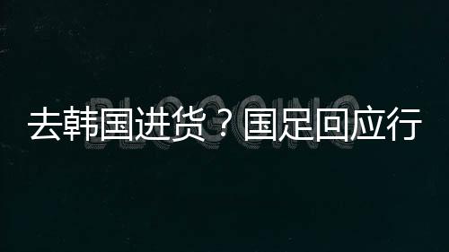 球迷再次拿国足行李太多说事