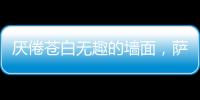 厌倦苍白无趣的墙面
，萨拉玛艺术漆给你惊艳想象!