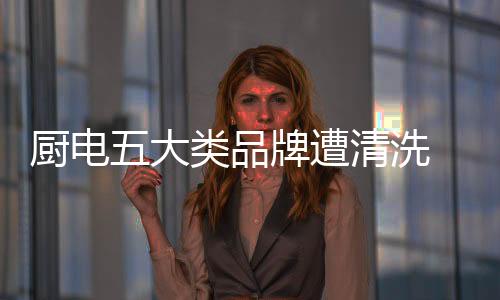 246个
、厨电线上高增超500%