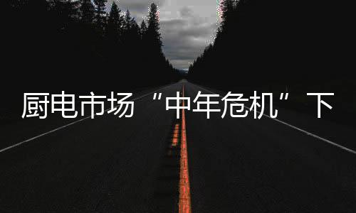 万和就曾面临过战略转型
