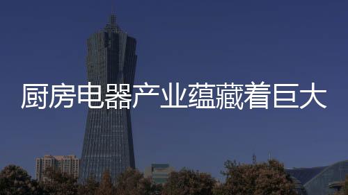 厨房产业在厨电市场高举高打