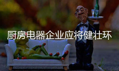 就目前厨房电器市场现状来看