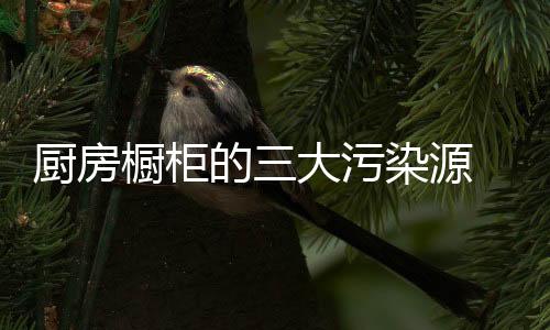 污染甚至降低人体抵抗力