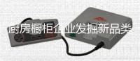 厨房橱柜企业发掘新品类 需创新战略模式