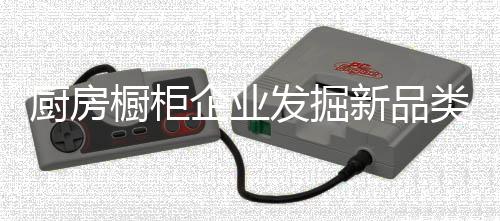 使企业得到快速发展