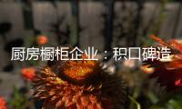 厨房橱柜企业：积口碑造精品 重营销讲服务