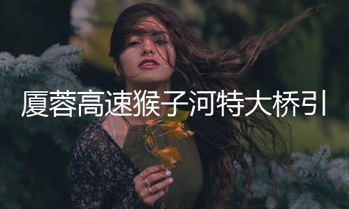 高速公安�、猴河车内无人员