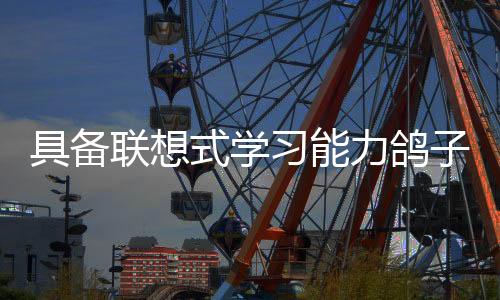 或产生它们的大师区域