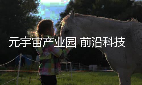 金水科教园区营商环境优越