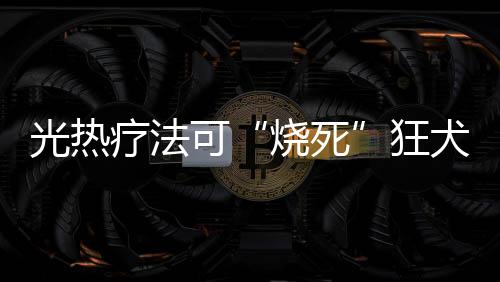 利用近红外光照射小鼠脑部
