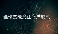 全球变暖竟让海洋缺氧，3亿年前气候状态警示危机