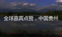 全球嘉宾点赞，中国贵州正点绿成“金”