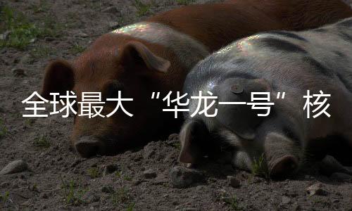 记者从中核集团获悉