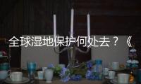 全球湿地保护何处去？《湿地公约》科技委员会主席这么说