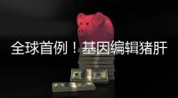 全球首例
！基因编辑猪肝脏 被移植到人体