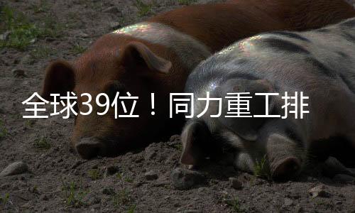工排调动一切积极因素