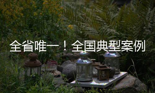 全省并在分论坛发布