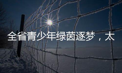 年绿总计进行了69场比赛