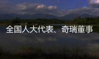全国人大代表
�、奇瑞董事长尹同跃：恶性竞争的“价格战”伤人伤己