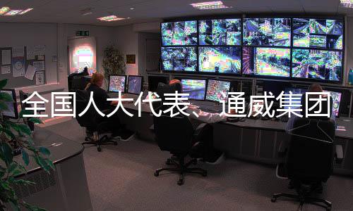 综合光等可再生能源不稳定