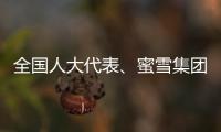 全国人大代表、蜜雪集团赵红果：建议新式茶饮建立国家标准