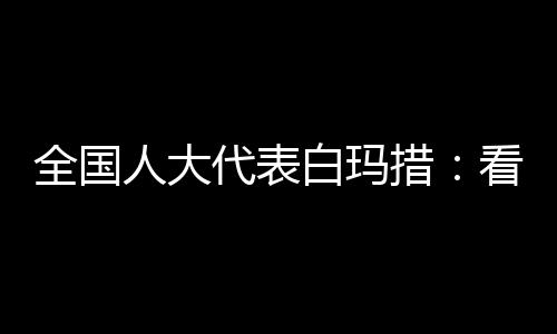 代表到南道做调研西藏