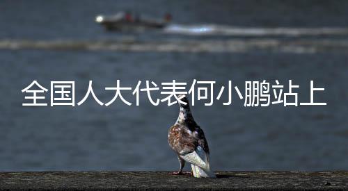 代表才可以真正进入商业化