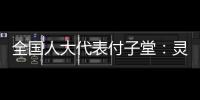 全国人大代表付子堂	
：灵活就业人群个税不应“一刀切”