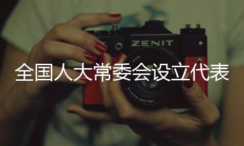 指导省级人大常委会代表工作