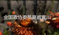 全国政协委员皇甫宜川：儿童影视教育应纳入全国文明城市评选标准