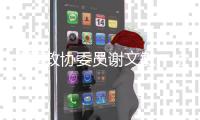 全国政协委员谢文敏�
：法院判决无法执行，相当于法律“白条”