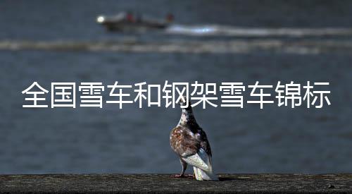 黎禹汐/陈文浩收获银牌