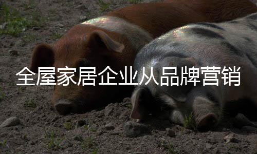 家居成为公司的从品粉丝