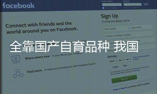 全靠但是国产国