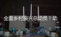 全面乡村振兴总动员！动画解读2021中央一号文件