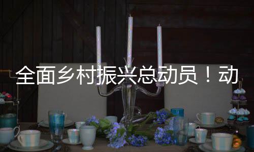 建设国家粮食平安产业带