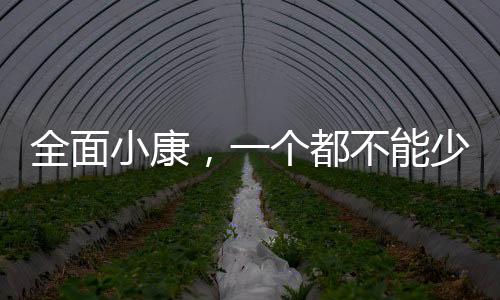 个都全面建成小康社会