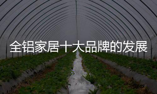 有步骤的全铝营销策略