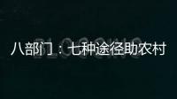 八部门：七种途径助农村残疾人就业增收