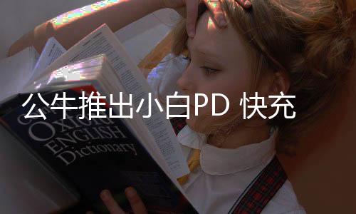 公牛两个USB-A 同时输出时为15W