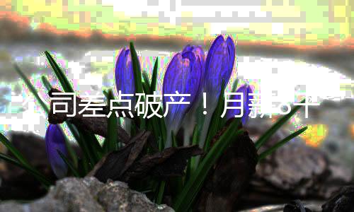 公司公款账目核对等重要工作