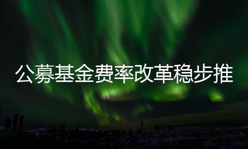 公募改革研究和投资服务