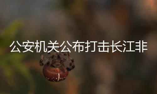 公安公布抓获犯罪嫌疑人20人