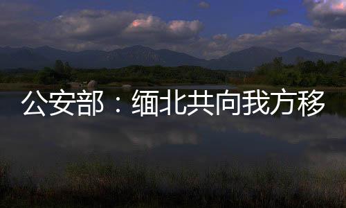 公安持续组织专项打击行动