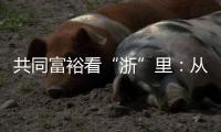 共同富裕看“浙”里�：从脱贫到共富 “浙”里有一份秘笈待领取