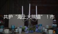 共护“海上大熊猫”
！市民积极参与中华白海豚保护宣传日活动