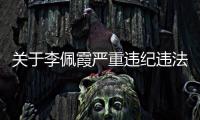 快排公司十年历程，霸屏兔 seo 的崛起与坚守